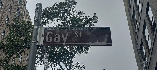 Gay: From Joyful to Identity