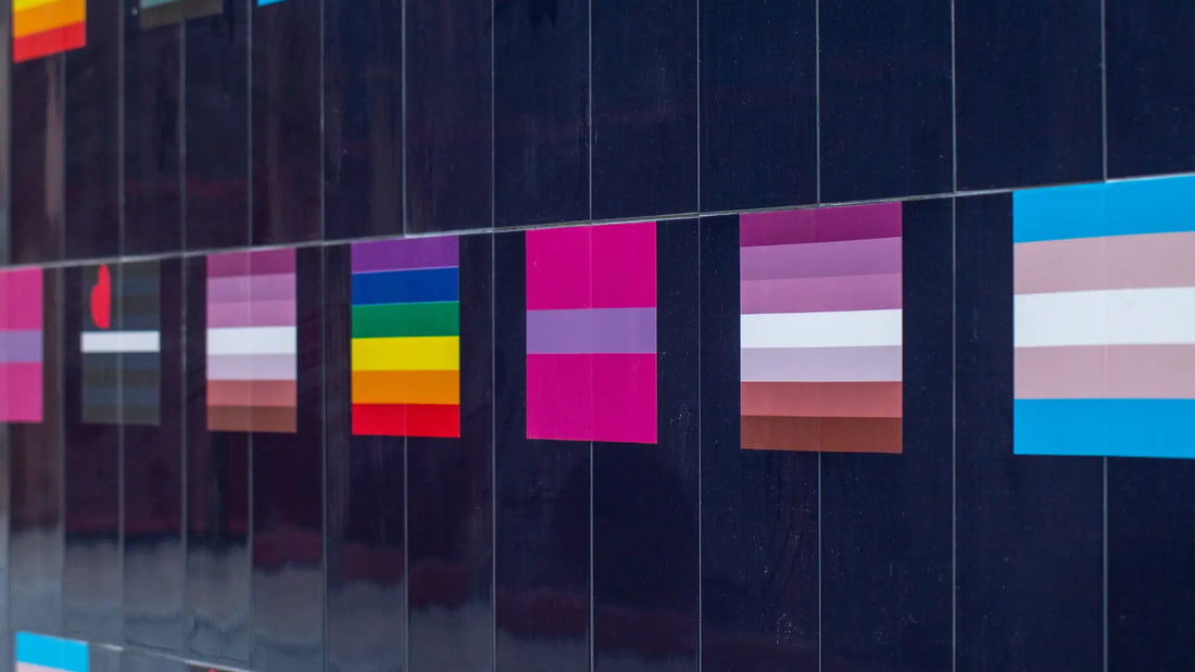 The Many Flags of Pride: What They Represent