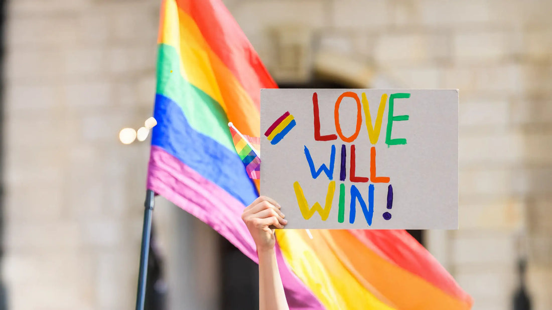 2025 in Review: LGBTQIA+ Visibility in the U.S.